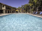 Thumbnail 18 of 34 - Pool in Courtyard at Eucalyptus Grove Apartments, Chula Vista